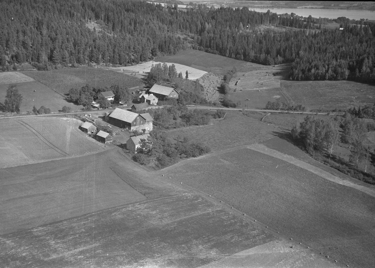 Anno Domkirkeodden, Flyfoto, gardsbruk, Raknerud, Helgøya.