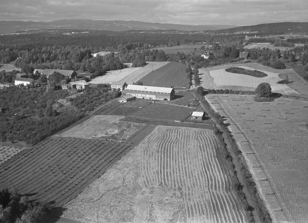 Anno Domkirkeodden, Flyfoto, av Aske-gårdene, Nes, Hedmark.