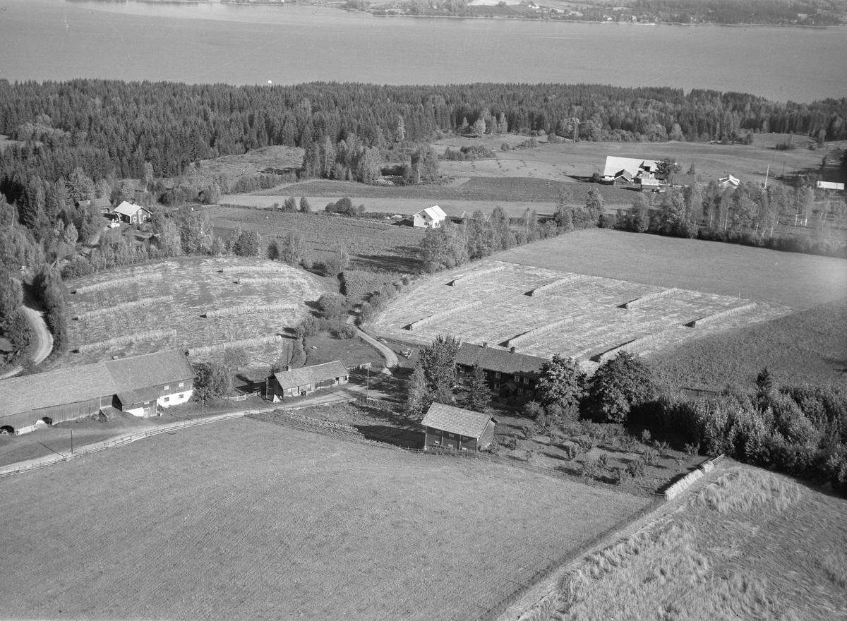 Anno Domkirkeodden, Flyfoto, gardsbruk, Skoug, Nes, Hedmark.