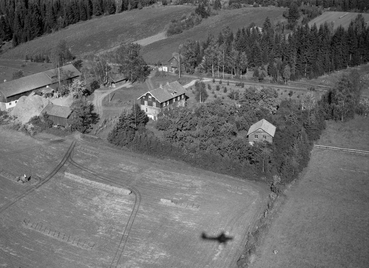 Anno Domkirkeodden, Flyfoto, gardsbruk, Svartshoel, Nes, Hedmark.