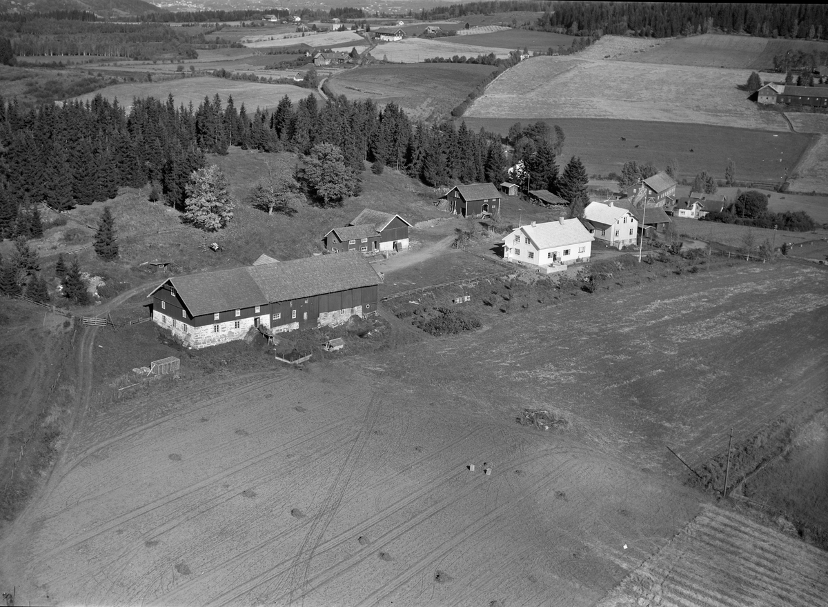 Anno Domkirkeodden, Flyfoto, gardsbruk, Berg øvre, Nes, Hedmark.