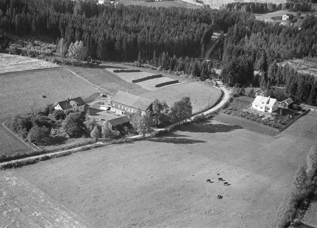Anno Domkirkeodden, Flyfoto, gardsbruk, Berg østre, Nes, Hedmark.