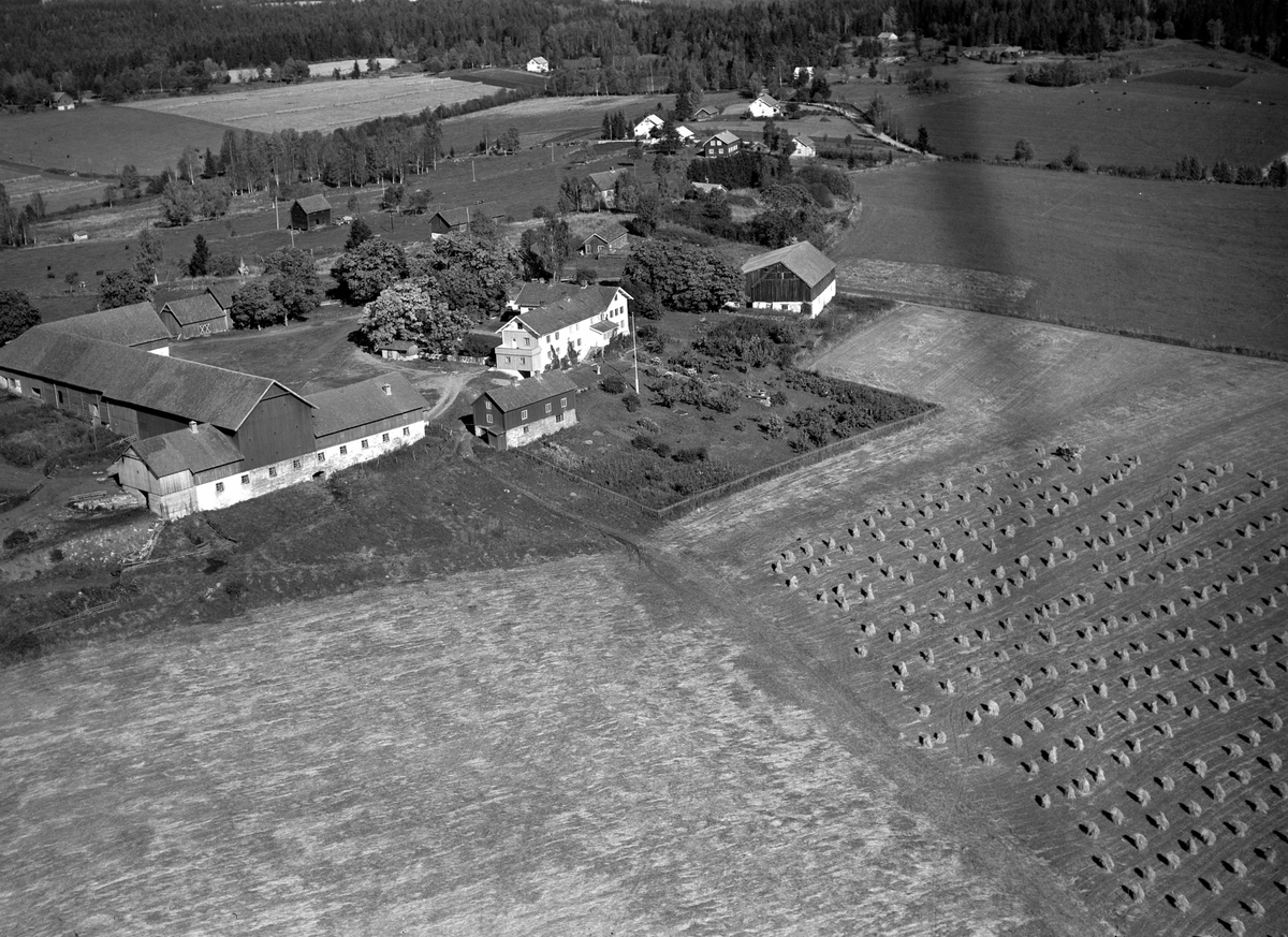 Anno Domkirkeodden, Flyfoto, gardsbruk, Ousdal, Nes, Hedmark.