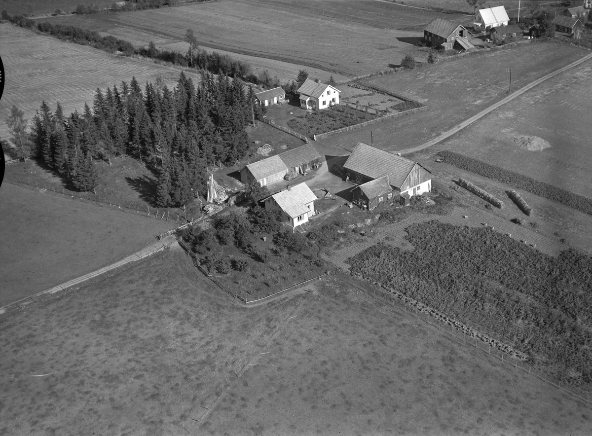 Anno Domkirkeodden, Flyfoto, gardsbruk, Svenmoen, Nes, Hedmark.