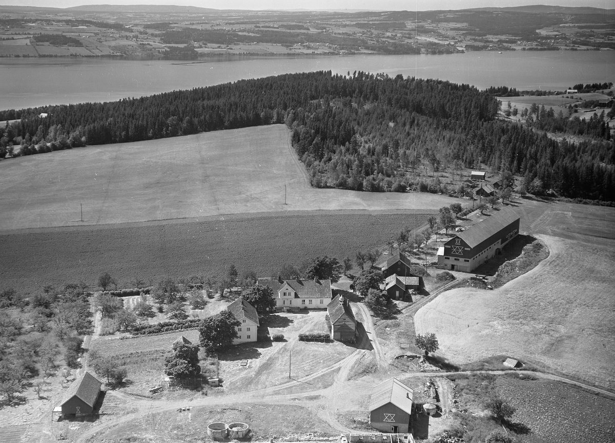 Anno Domkirkeodden, Flyfoto, gardsbruk, Eik, Helgøya.