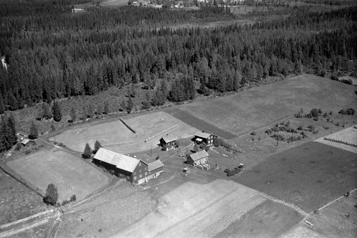 Anno Domkirkeodden, Flyfoto av Grasbakken vestre, Lismarka, Ringsaker.