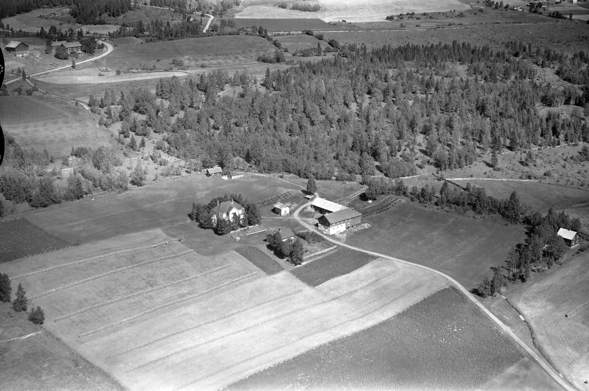 Anno Domkirkeodden, Flyfoto av Lisenga gard, Lismarka, Ringsaker.