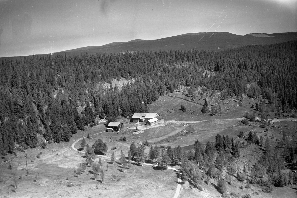 Anno Domkirkeodden, Flyfoto av ukjent gard, Lismarka, Ringsaker.