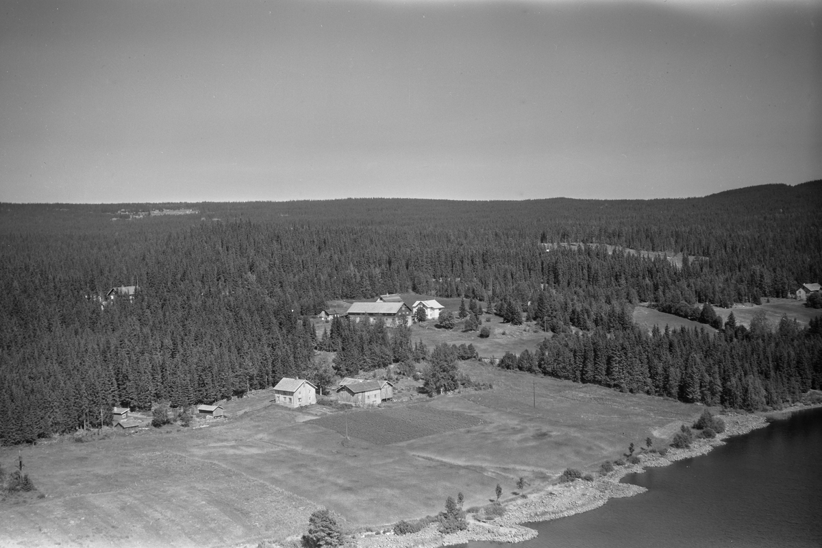 Anno Domkirkeodden, Flyfoto av Mesnahagen gard, Mesnalia, Ringsaker.