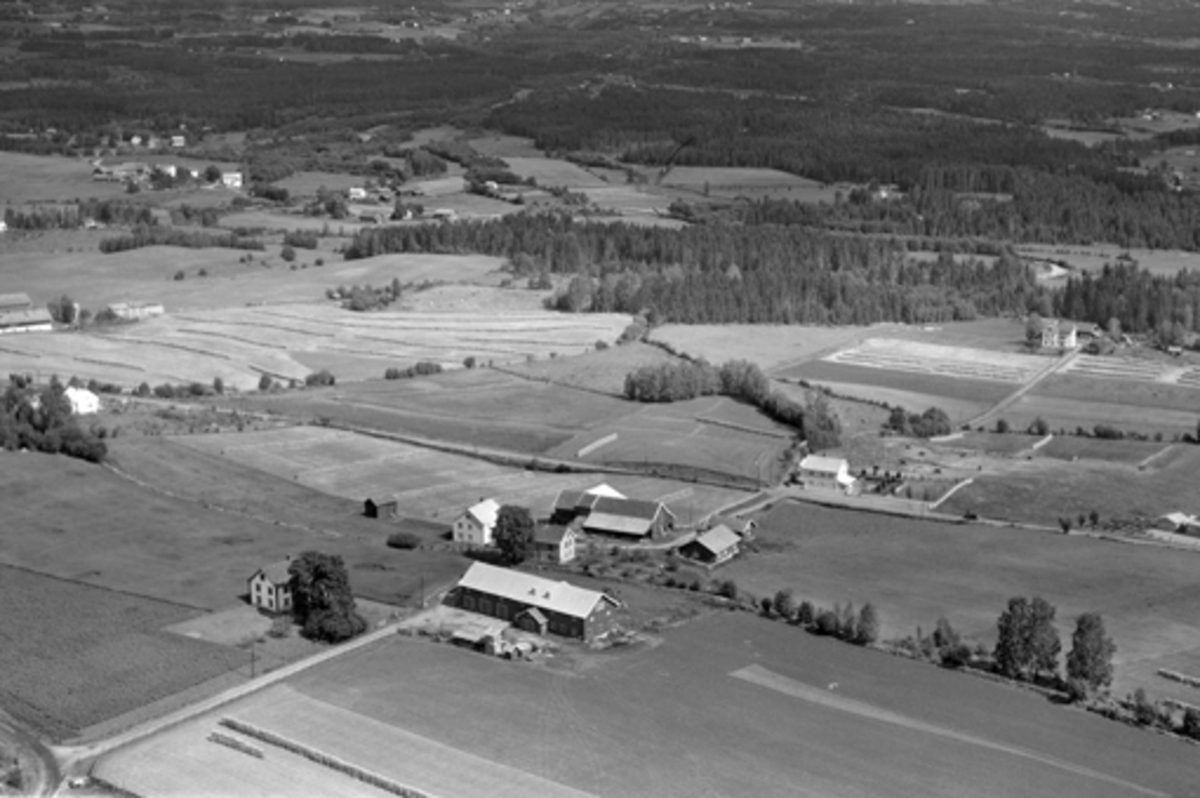 Anno Domkirkeodden, Flyfoto av Vallsig gard, Furnes, Hamar.