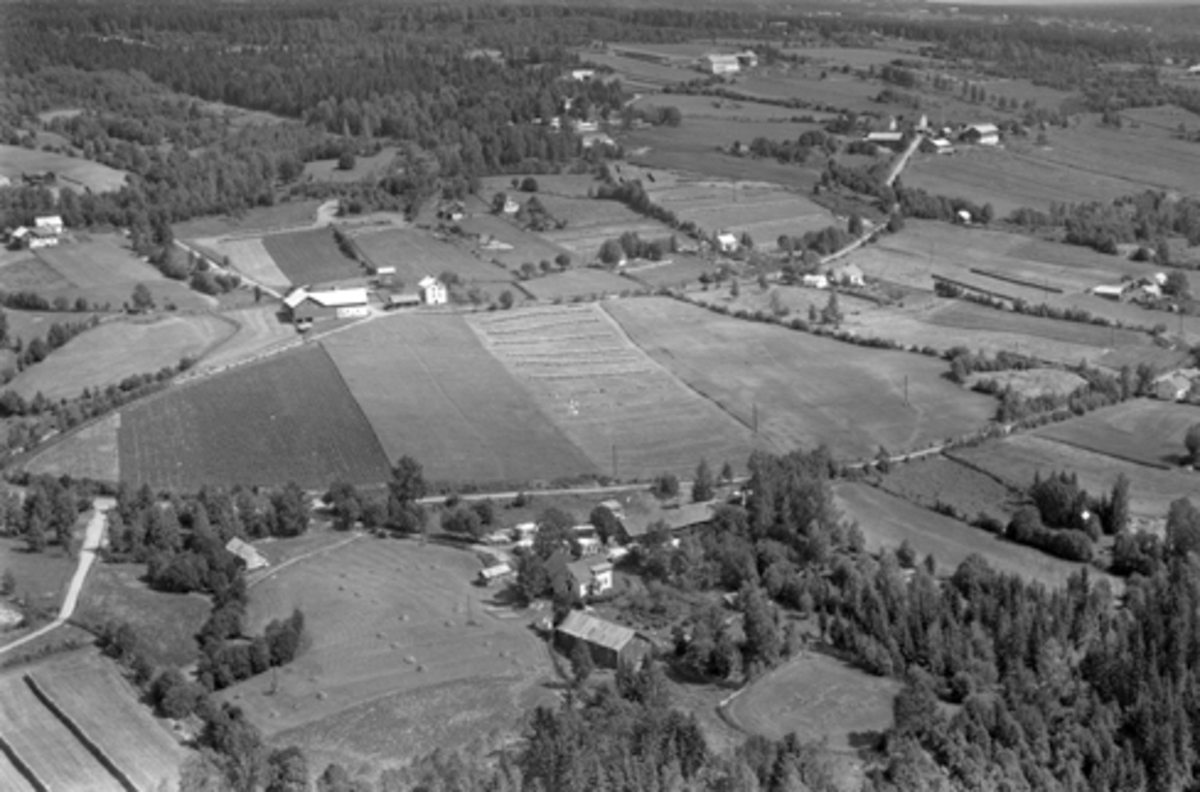Anno Domkirkeodden, Flyfoto Velt-Kylstad med Nerhagen bruk i forgrunnen, Furnes, Ringsaker. I Nerhagen drev Johan Toreid sagbruk.