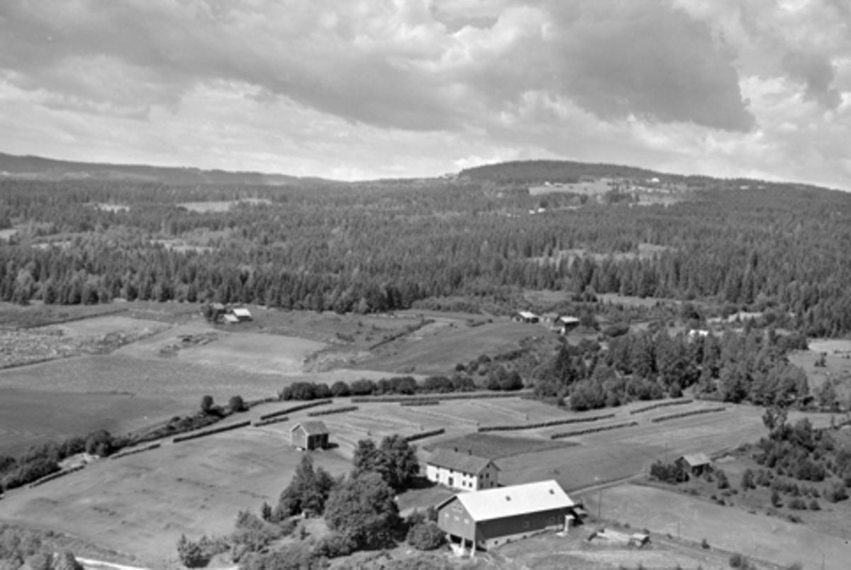 Anno Domkirkeodden, Flyfoto, Røsbak. I bakrunnen bl.a. Hangen, Furnes.