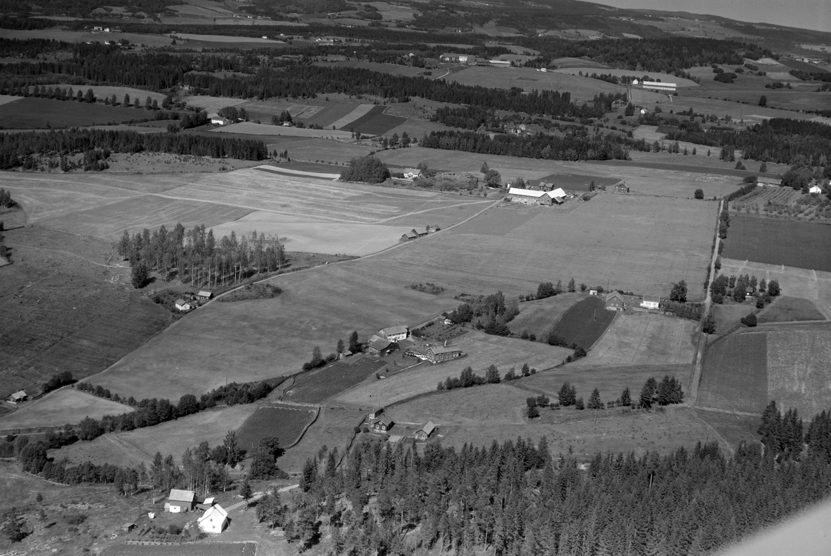 Widerøes Flyveselskap A/S, Flyfoto over garder og småbruk, Gaupen, Ringsaker. Nederst til venstre er Baklykkjen (under Tjerne), Engen, Frydenberg og Saustad vestre.