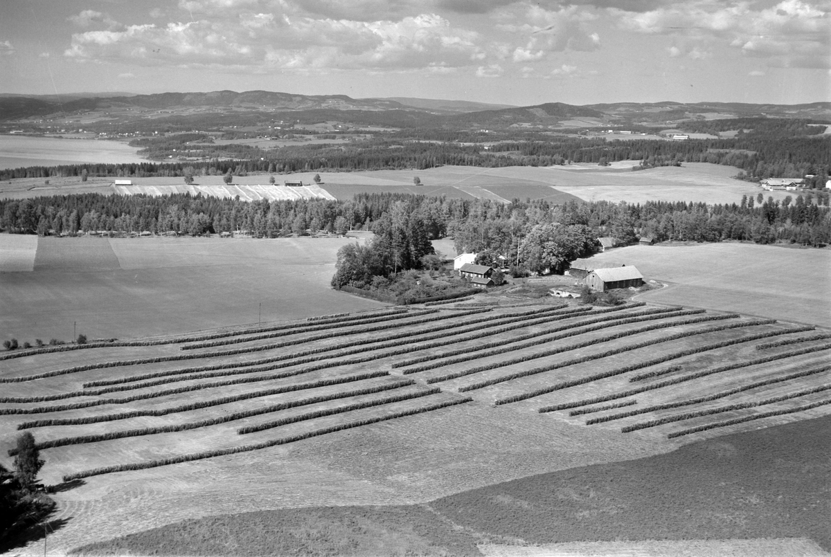 Widerøes Flyveselskap A/S, Flyfoto av Dalby lille, Gaupen, Ringsaker. Hesjer.