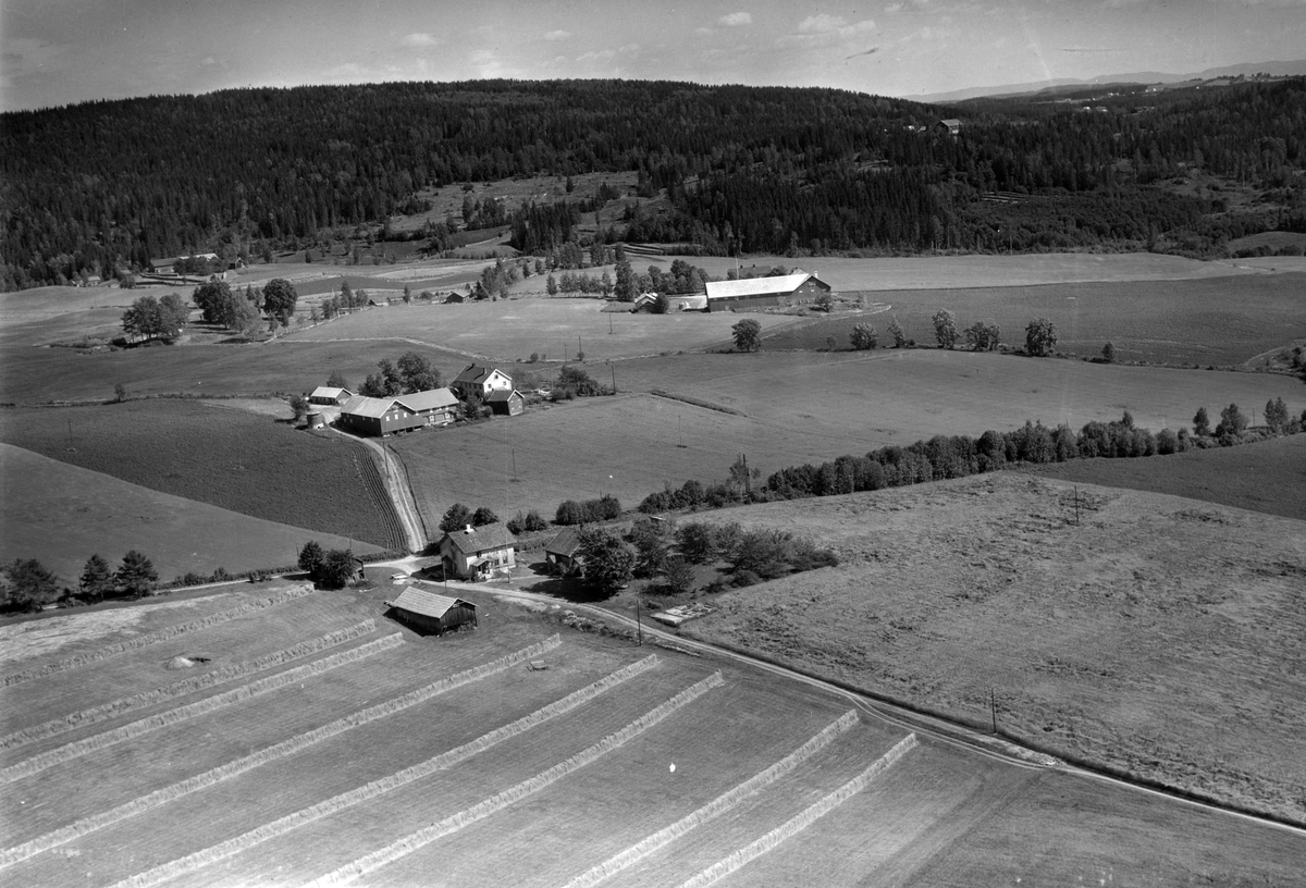 Widerøes Flyveselskap A/S, Flyfoto av Blakholo og Ulvilrud, Gaupen, Ringsaker.