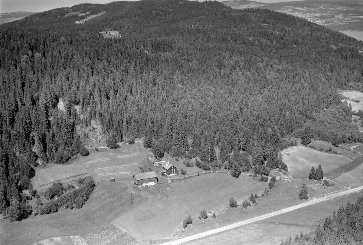 Widerøes Flyveselskap A/S, Flyfoto, gardsbruk, Evenrud, Nes, Hedmark.
