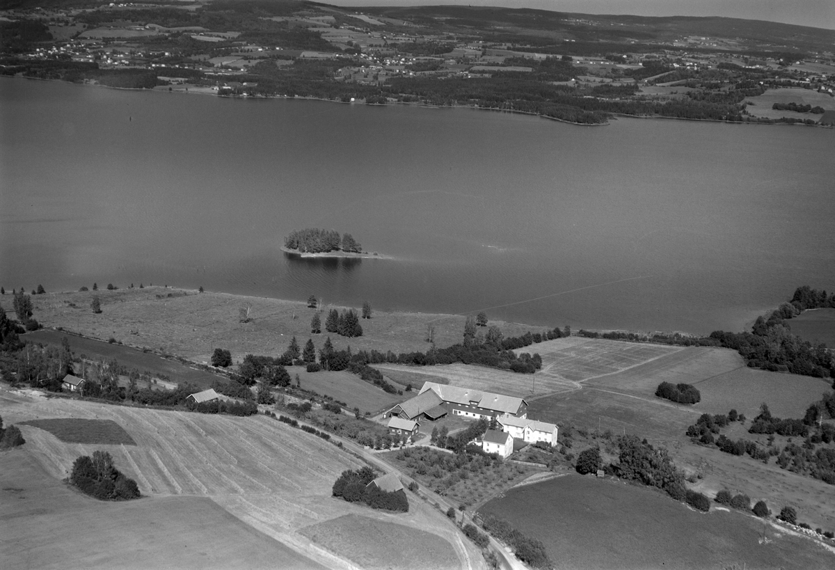 Widerøes Flyveselskap A/S, Flyfoto, gardsbruk, Nerlien, Nerliholmen, Mjøsa, Langodden, Furnes, Nes, Hedmark.