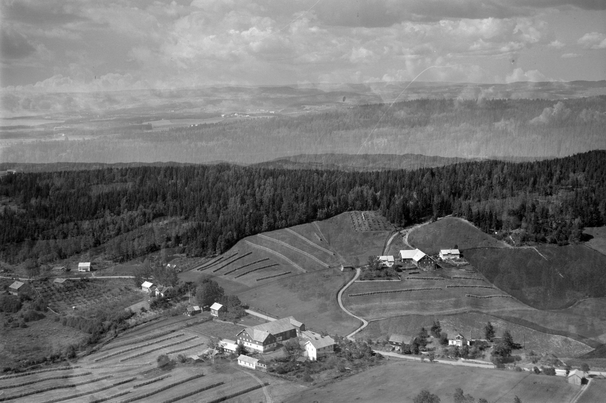 Widerøes Flyveselskap A/S, Flyfoto, gardsbruk, Presterud, Skjoldknapp, Nes, Hedmark.