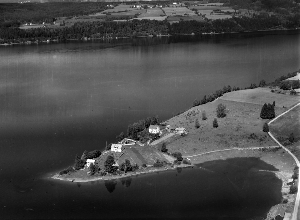 Widerøes Flyveselskap A/S, Flyfoto, småbruk, Tangnesodden, Mengshoel, Nes, Hedmark.