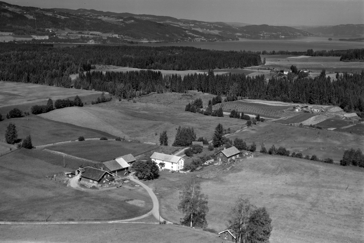 Widerøes Flyveselskap A/S, Flyfoto av Haugom gard, Gaupen, Ringsaker.