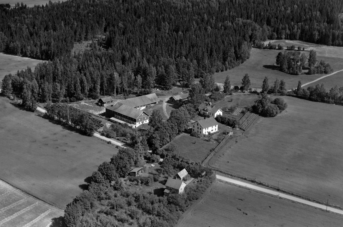 Widerøes Flyveselskap A/S, Flyfoto, gardsbruk, Senstad, Nes, Hedmark.