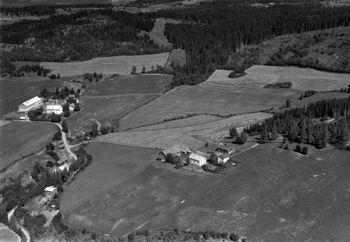 Widerøes Flyveselskap A/S, Flyfoto av Svartungstad gard, Ring, Ringsaker.