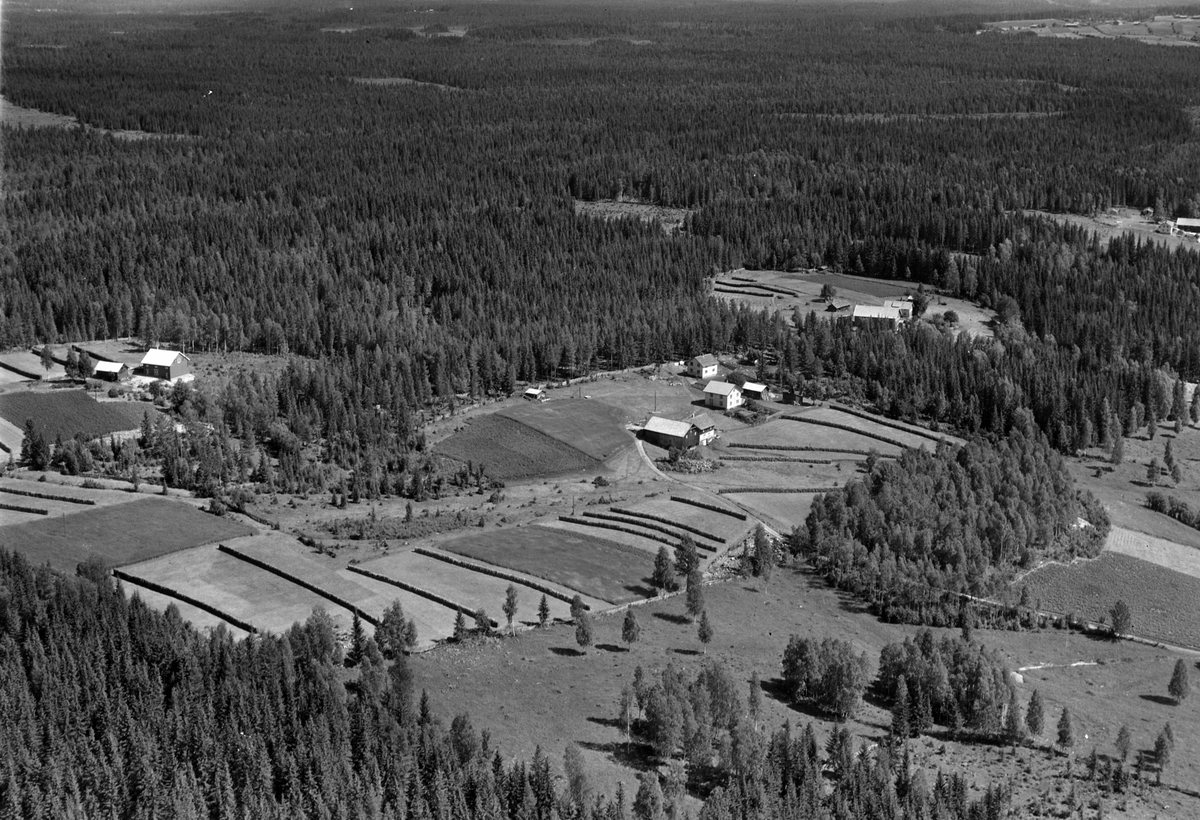 Widerøes Flyveselskap A/S, Flyfoto av Steffenrud, Næroset, Ringsaker.