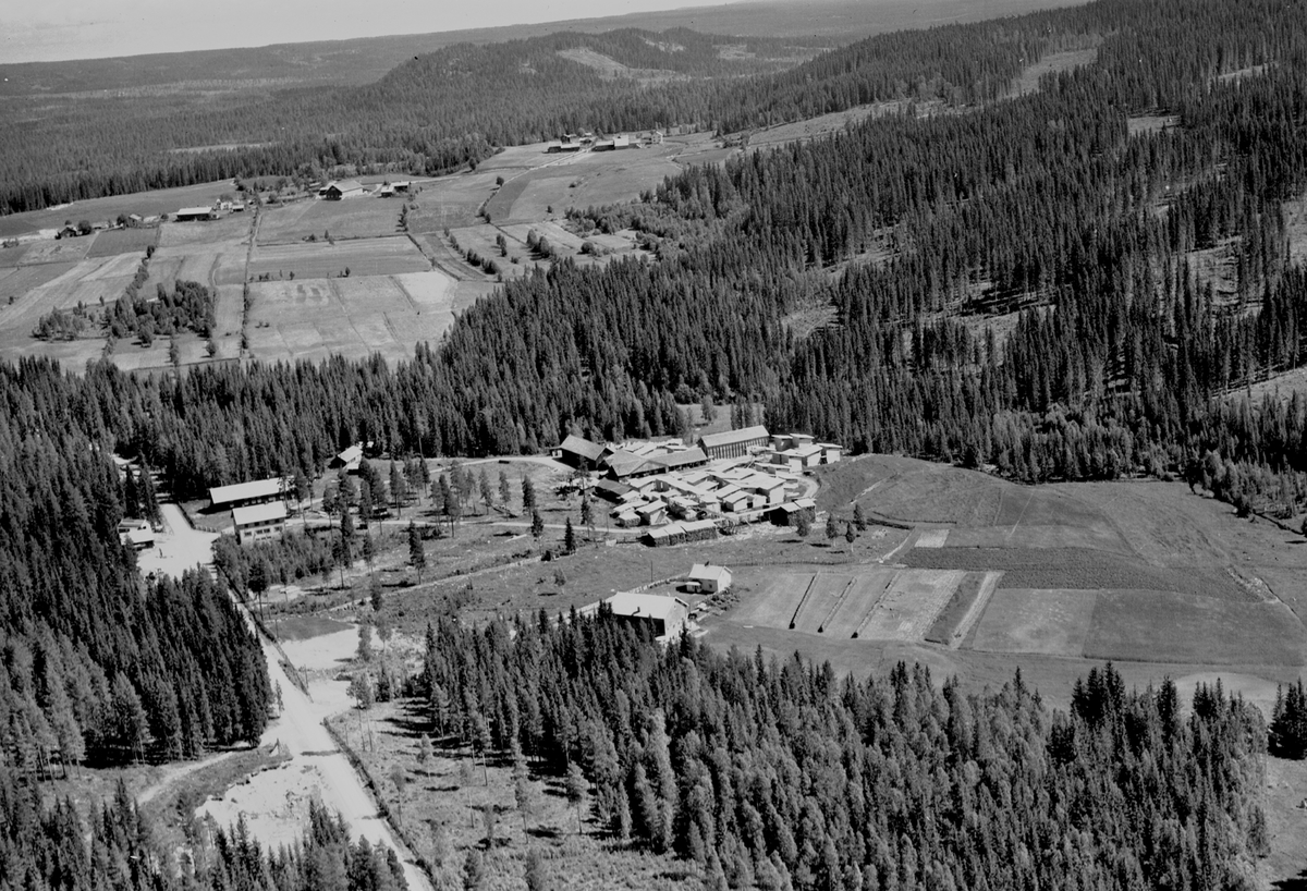Widerøes Flyveselskap A/S, Flyfoto av Klyftmoen sag, Veldre almenning, Ringsaker.