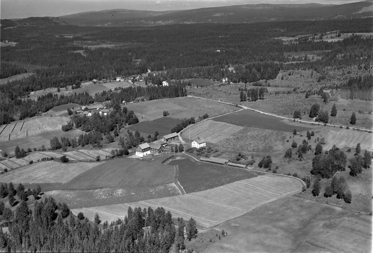 Widerøes Flyveselskap A/S, Flyfoto av Bjørklia søndre, Åsmarka, Ringsaker.