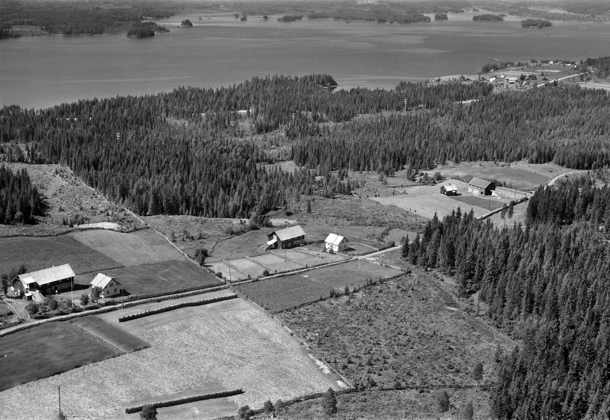 Widerøes Flyveselskap A/S, Flyfoto av Steinsrud, Steinsli og Vesteng, Bureisergrenda, Åsmarka, Ringsaker.