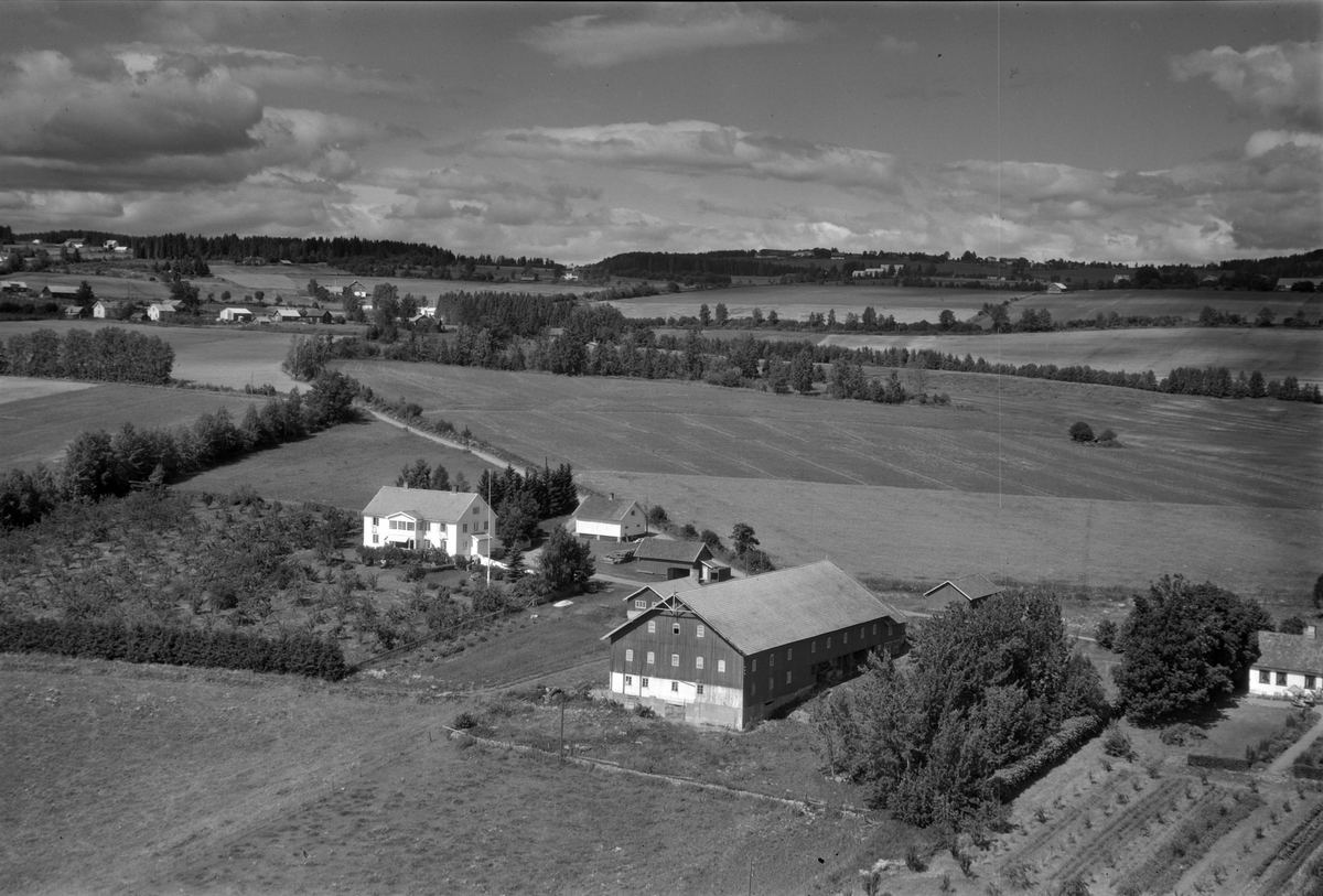 Widerøes Flyveselskap A/S, Flyfoto, gardsbruk, Skjelve vestre, Nes, Hedmark.