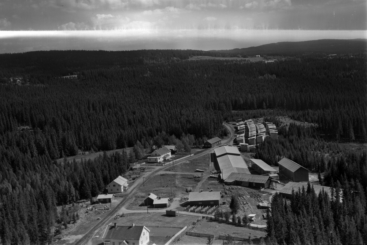 Widerøes Flyveselskap A/S, Flyfoto, skog, Kvilheim, Nybygda, Furnes Almenning.