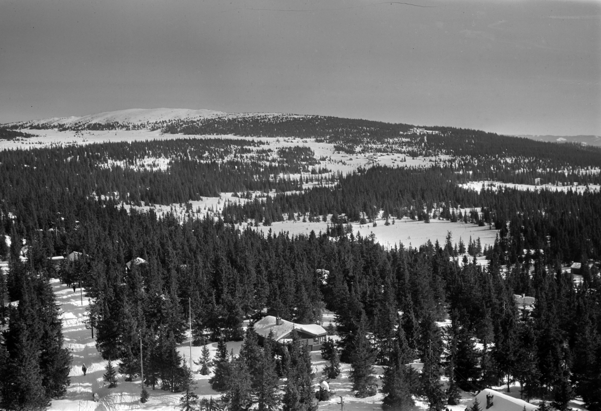 Widerøes Flyveselskap A/S, Flyfoto av bebyggelse i vinterlandskap på Sjusjøen, Ringsaker Almenning.