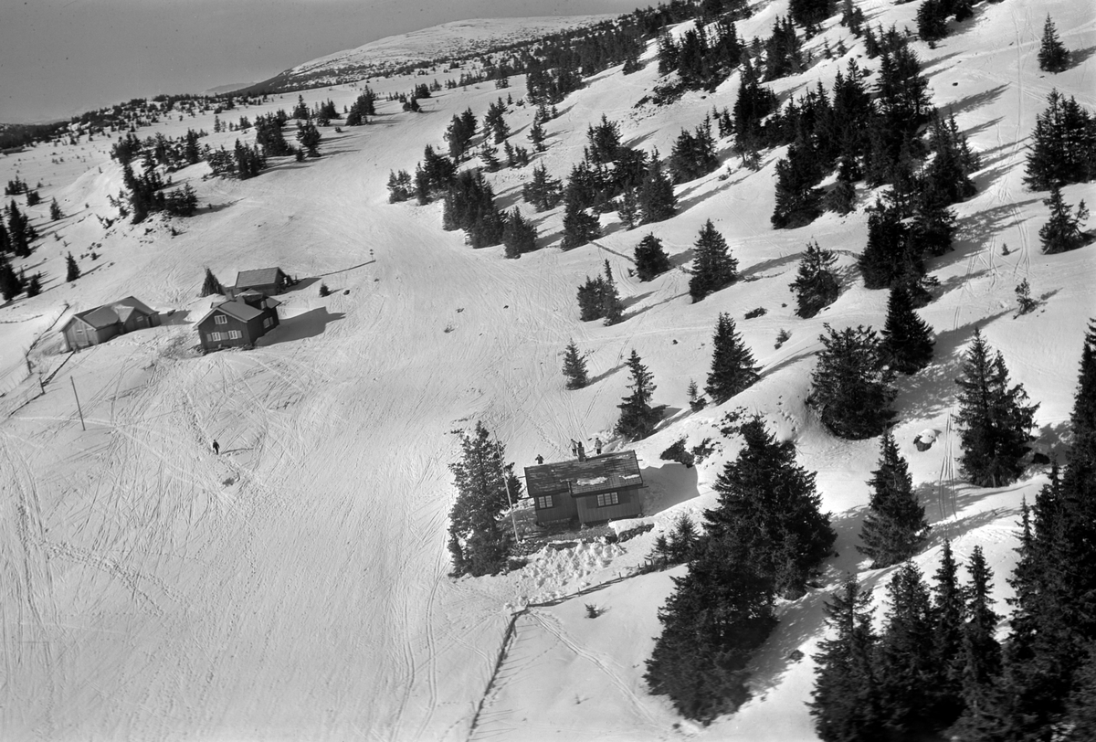Widerøes Flyveselskap A/S, Flyfoto av bebyggelse i vinterlandskap på Sjusjøen, Ringsaker Almenning.