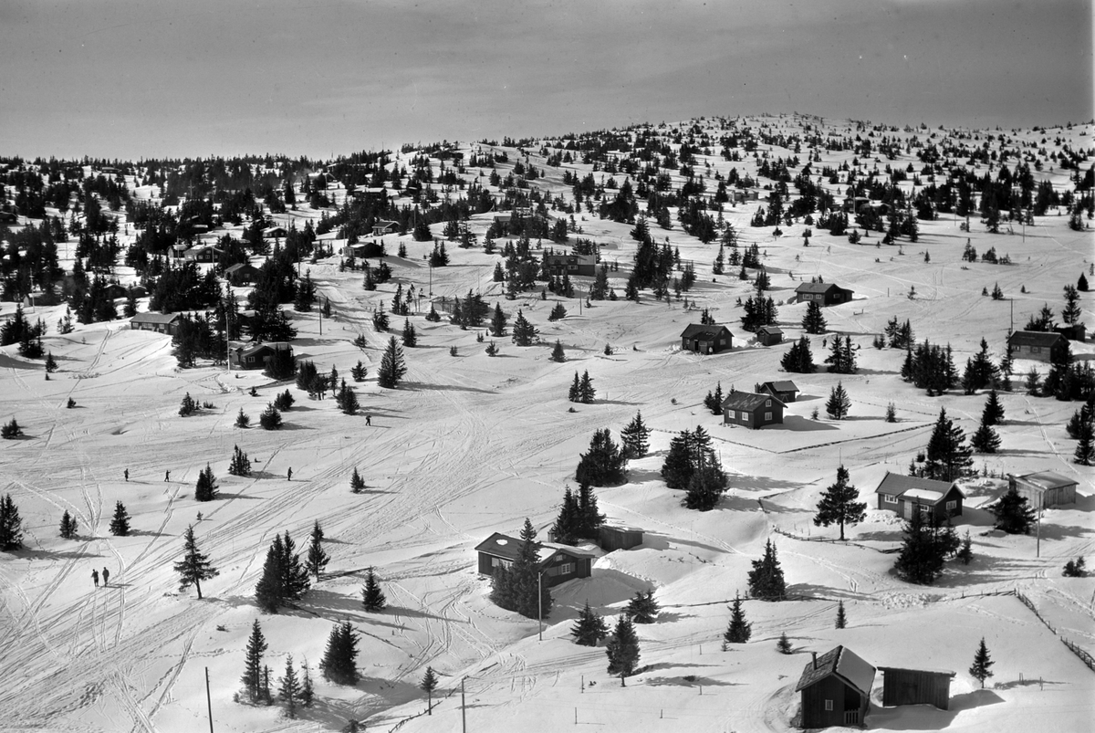 Widerøes Flyveselskap A/S, Flyfoto av bebyggelse i vinterlandskap på Sjusjøen, Ringsaker Almenning.