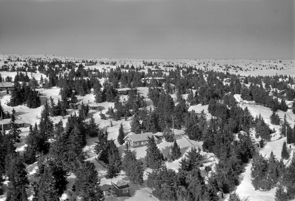 Widerøes Flyveselskap A/S, Flyfoto av bebyggelse i vinterlandskap på Sjusjøen, Ringsaker Almenning.