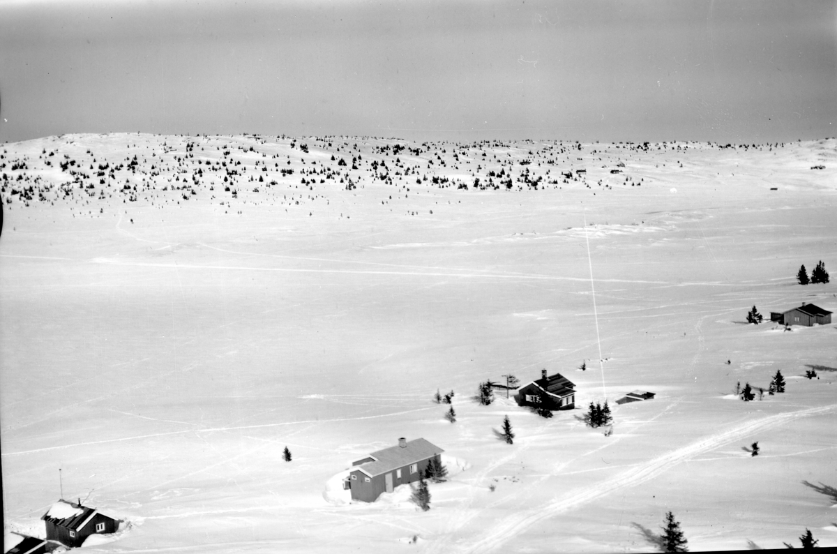 Widerøes Flyveselskap A/S, Flyfoto av bebyggelse i vinterlandskap på Sjusjøen, Ringsaker Almenning.