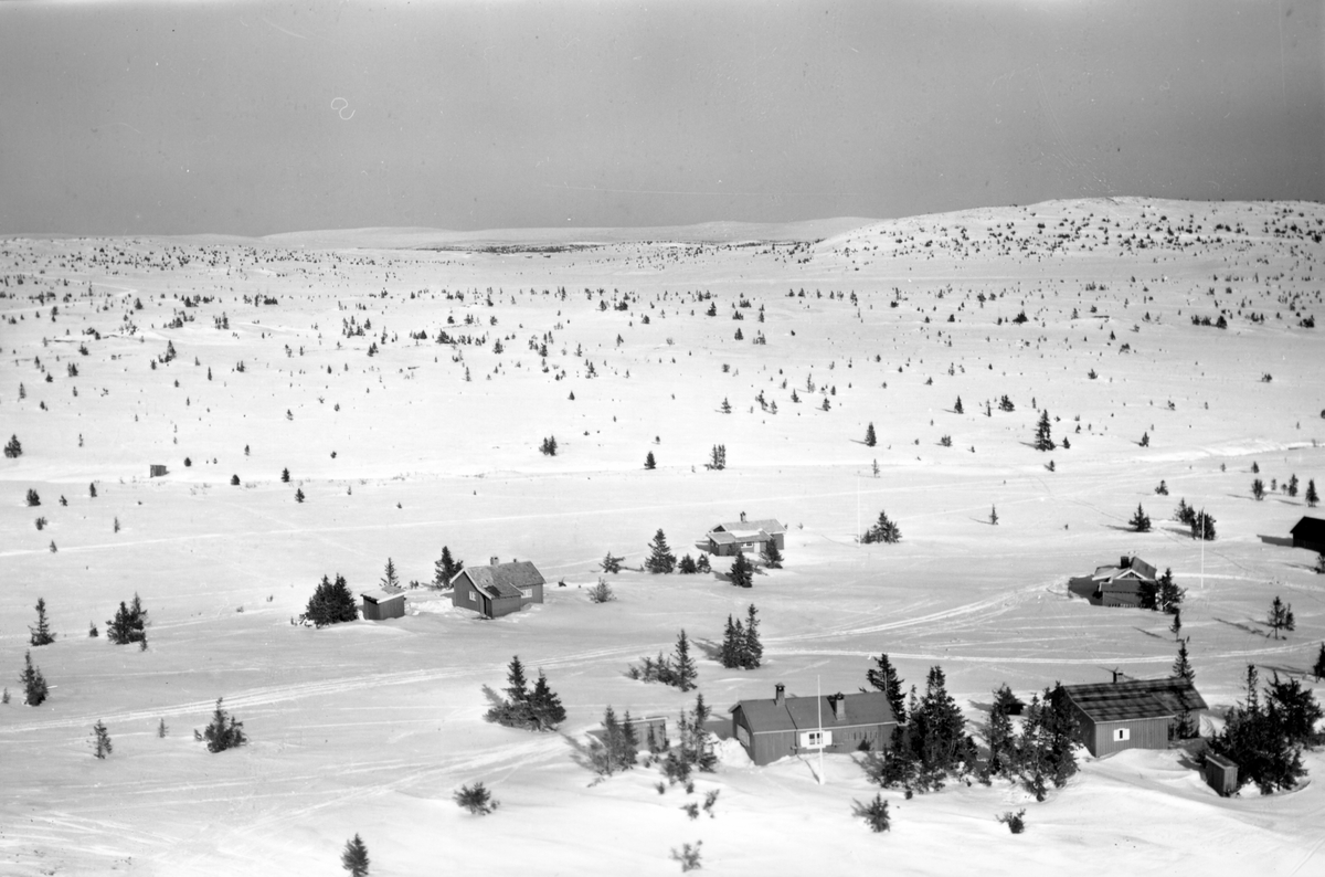Widerøes Flyveselskap A/S, Flyfoto av bebyggelse i vinterlandskap på Sjusjøen, Ringsaker Almenning.