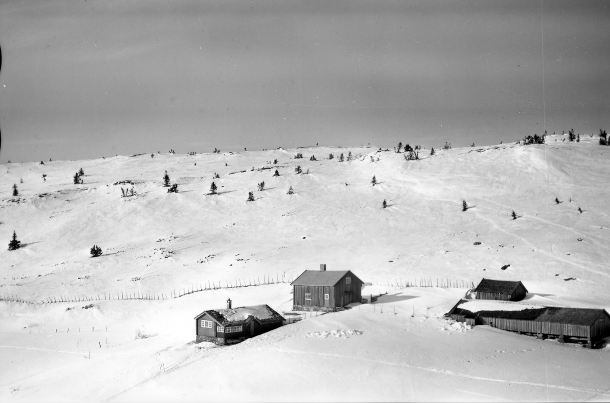 Widerøes Flyveselskap A/S, Flyfoto av bebyggelse i vinterlandskap på Sjusjøen, Ringsaker Almenning.
