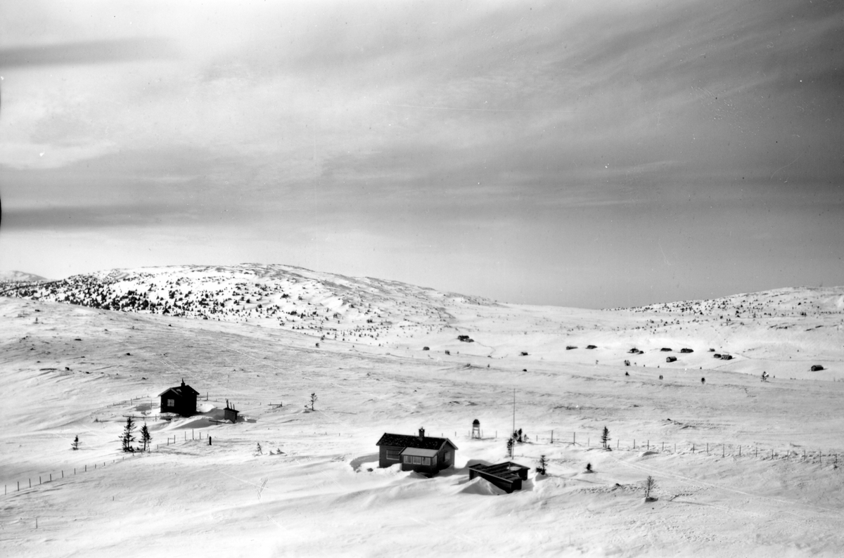 Widerøes Flyveselskap A/S, Flyfoto av bebyggelse i vinterlandskap på Sjusjøen, Ringsaker Almenning.