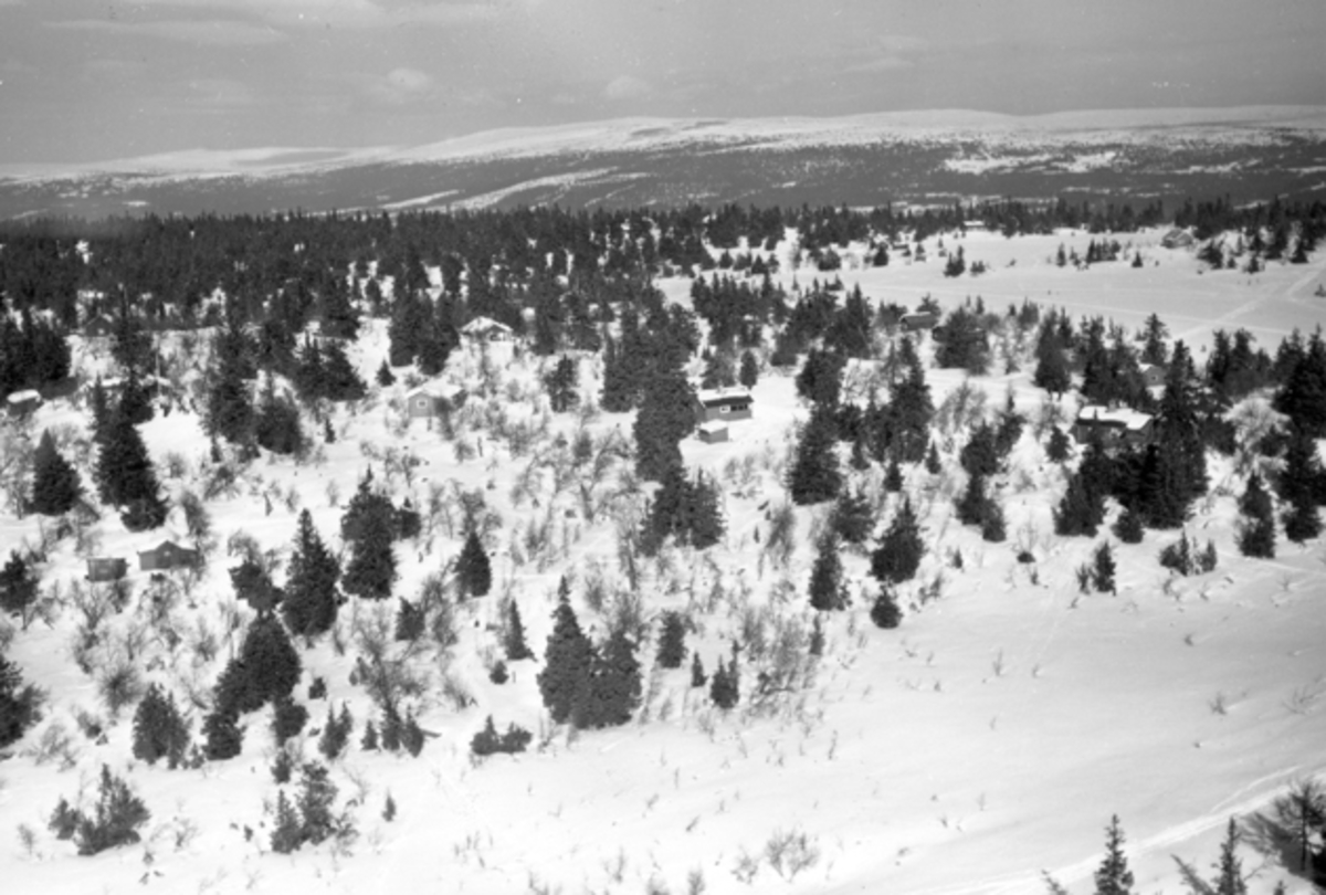 Widerøes Flyveselskap A/S, Flyfoto av bebyggelse i vinterlandskap på Ljøsheim, Ringsaker Almenning.