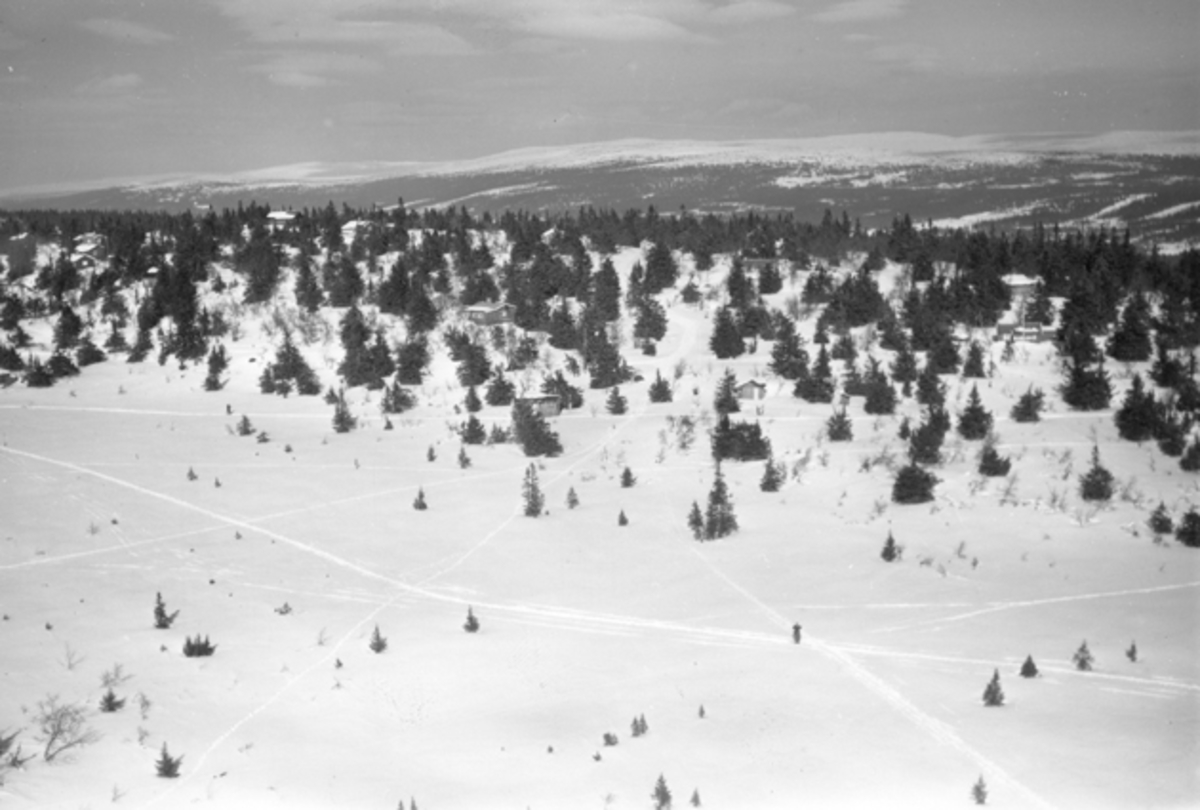 Widerøes Flyveselskap A/S, Flyfoto av bebyggelse i vinterlandskap på Ljøsheim, Ringsaker Almenning.