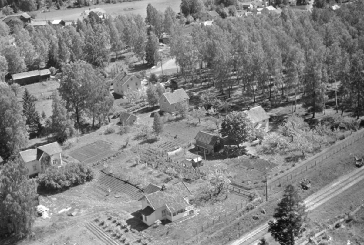 Widerøes Flyveselskap A/S, Hus langs Rævgutua. Medsols fra forkant: Nilssonhuset, Lærer Hammer, Håkonsen, Hovde og Løvstad (Storgata 26). Moelv, Ringsaker.