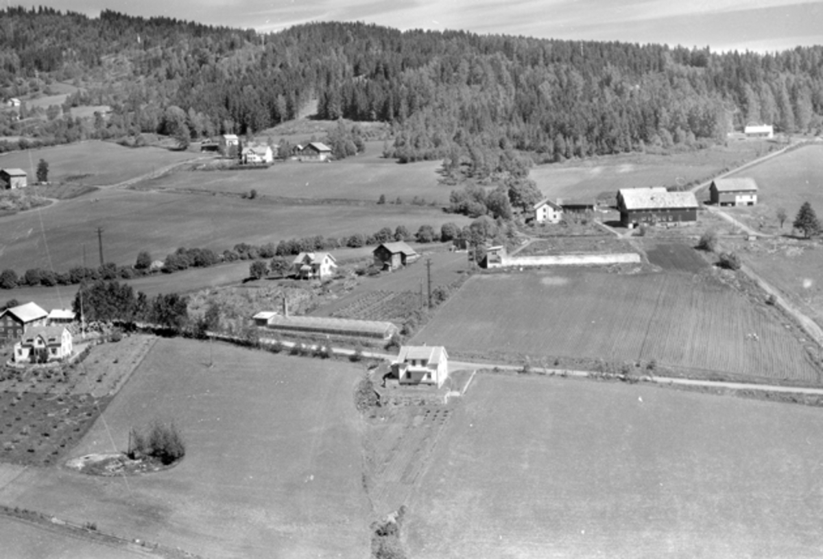Widerøes Flyveselskap A/S, Flyfoto av Byflatvegen, Børkevegen, Børke gard, Børke mellom, gartneri, Brumunddal.