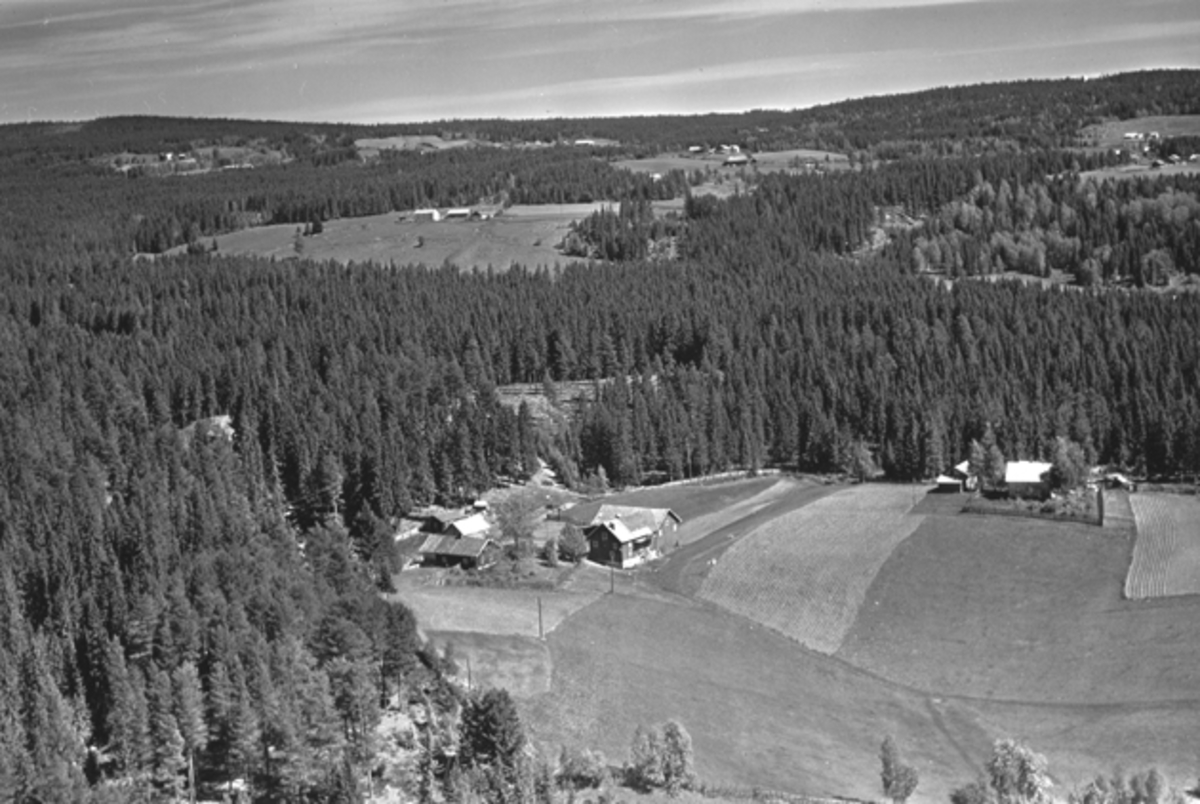 Widerøes Flyveselskap A/S, Flyfoto av Mauset lille, Nybygda, Ringsaker.