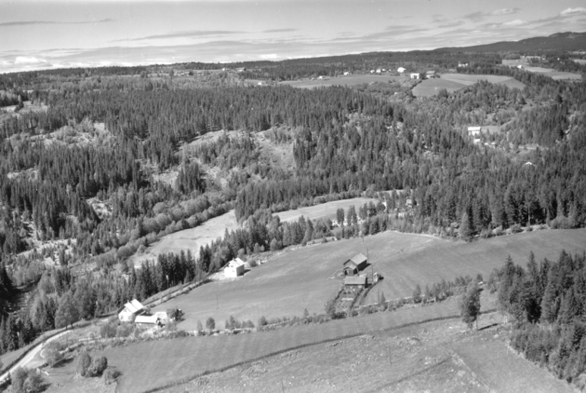 Widerøes Flyveselskap A/S, Flyfoto av småbruket Tajesveen på Mauset midt i bildet. Ringsaker.