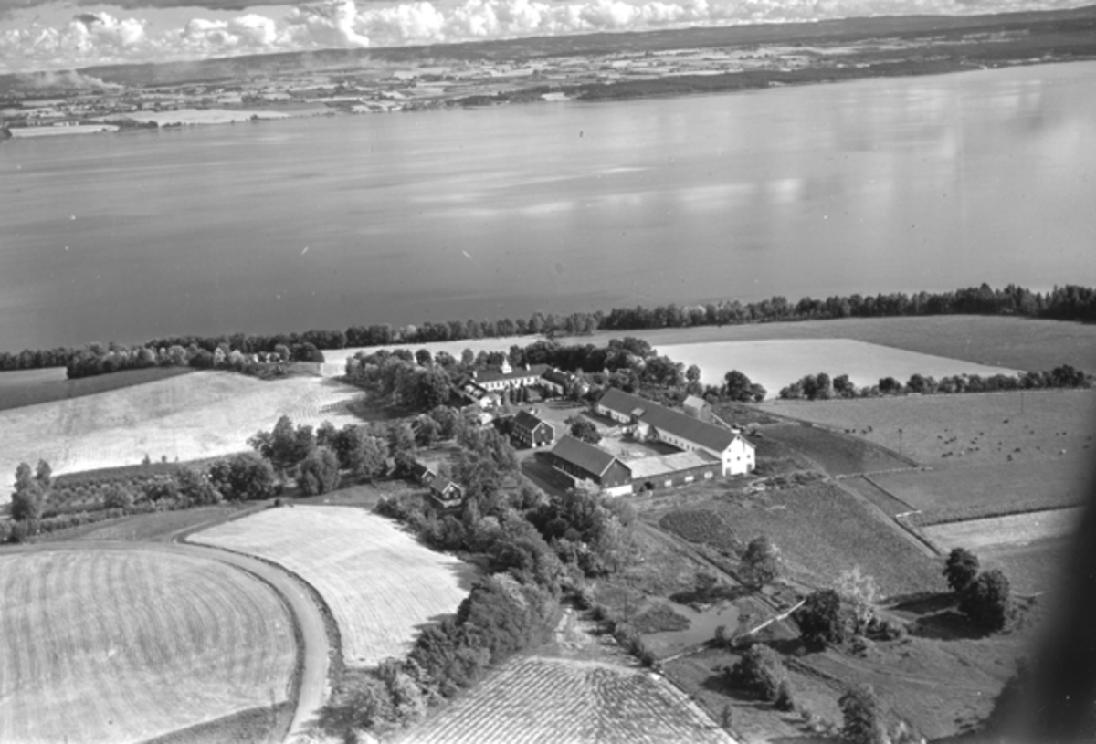 Widerøes Flyveselskap A/S, Flyfoto, gardsbruk, Hovinsholm, Helgøya, Toten i bakgrunn.