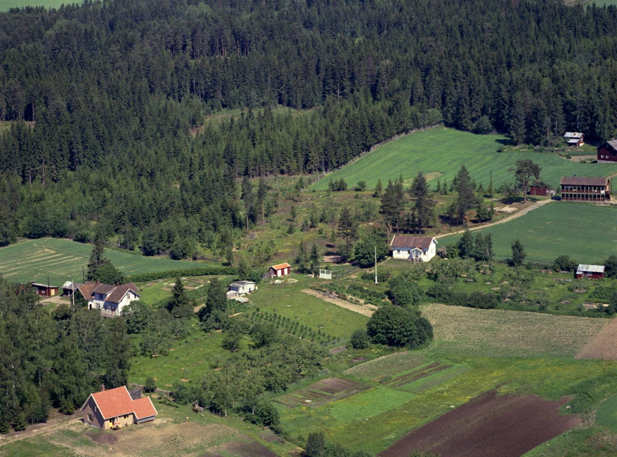 Widerøes Flyveselskap A/S, Flyfoto av bebyggelse på Jessnes, Ringsaker. Til venstre i bildet er Borghild Opsals barnepensjonat. Hvitt hus nesten midt i bildet er Fagerli. Adresser i dag er Borghild Ruds veg. Man ser hus langs nåværende Borghild Ruds veg på Jessnes. Fra v. nr. 14, nr. 32 (det hvite i midten) og nr. 55 (rødt i…