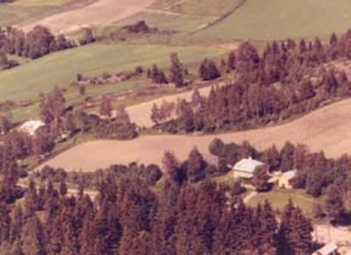 Widerøes Flyveselskap A/S, Flyfoto, Selje til høyre. Til venstre skimtes Åsglimt. Furnes, Ringsaker.