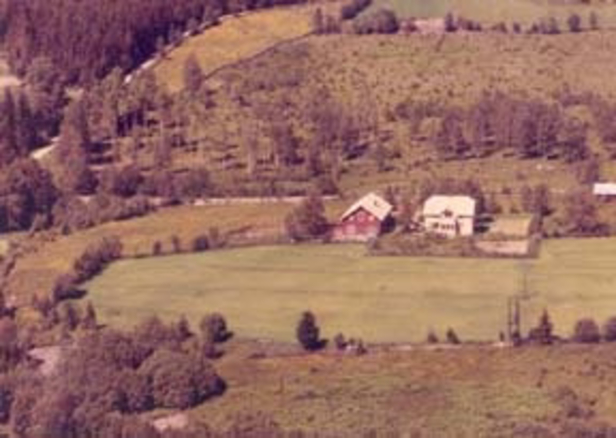 Widerøes Flyveselskap A/S, Flyfoto av Solborg, Furnes, Ringsaker.